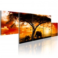 Tableau  Coucher de soleil rouge  Afrique