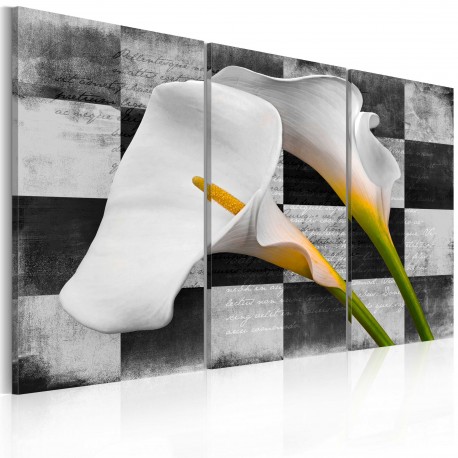 Tableau  callas (vintage)