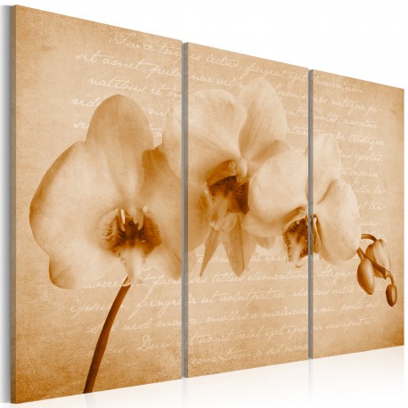 Tableau  orchidée (vintage)