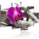 Tableau  Orchid on beach