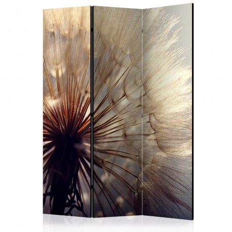 Paravent 3 volets  Dandelion Kiss [Room Dividers]