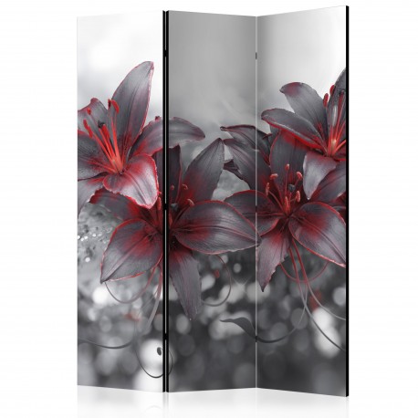 Paravent 3 volets  Shadow of Passion [Room Dividers]