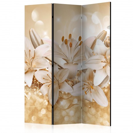 Paravent 3 volets  Royal Entourage [Room Dividers]