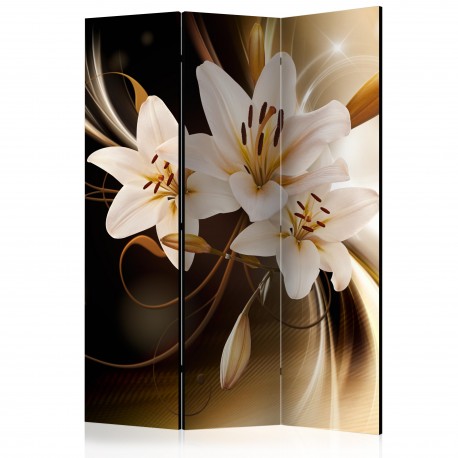 Paravent 3 volets  Circle of Light [Room Dividers]