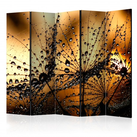 Paravent 5 volets  Dandelions in the Rain II [Room Dividers]