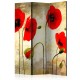 Paravent 3 volets  Golden Field of Poppies [Room Dividers]