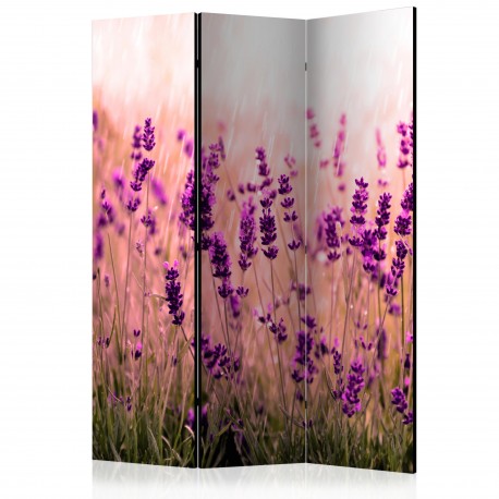 Paravent 3 volets  Lavender in the Rain [Room Dividers]