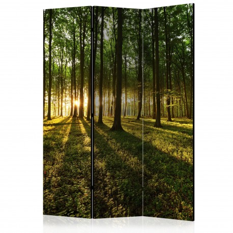 Paravent 3 volets  Morning in the Forest [Room Dividers]