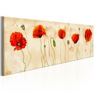 Tableau  Tears of Poppies