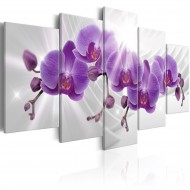 Tableau  Abstract Garden Purple Orchis