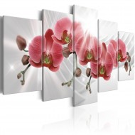 Tableau  Abstract Garden Red Orchis