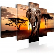 Tableau  Elephant Migration