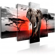 Tableau  Lonely Elephant