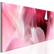 Tableau  Flowers Pink Tulips