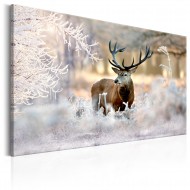Tableau  Deer in the Cold