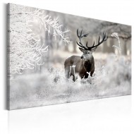 Tableau  Lonely Deer