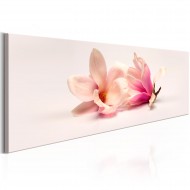 Tableau  Beautiful Magnolias