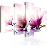 Tableau  Fleurs roses magnolias