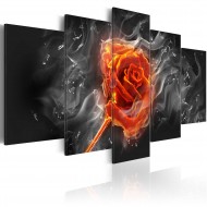 Tableau  Fiery Rose