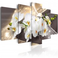 Tableau  Golden Sash