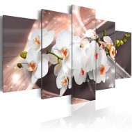 Tableau  Echo of Beauty