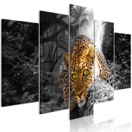 Tableau  Leopard Lying (5 Parts) Wide Grey