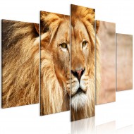Tableau  The King of Beasts (5 Parts) Wide Orange