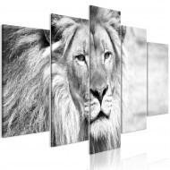 Tableau  The King of Beasts (5 Parts) Wide Black and White