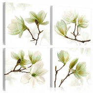 Tableau  Admiration of Magnolia