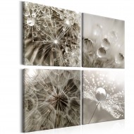 Tableau  Grey Dandelion