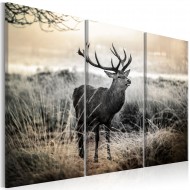 Tableau  Dangerous Horns I