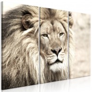 Tableau  The King of Beasts (3 Parts) Beige