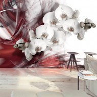 Papier peint  Orchid in red