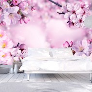Papier peint  Say Hello to Spring