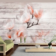 Papier peint  Subtlety of the Magnolia