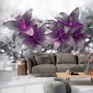 Papier peint  Secret of the Lily