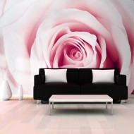 Papier peint  Rose maze