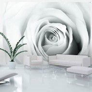 Papier peint  Rose charade