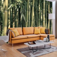 Papier peint  Bamboo Exotic