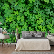 Papier peint  Green Clover
