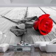 Papier peint  Abandoned Rose