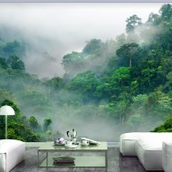 Papier peint  Morning Fog