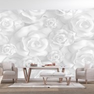 Papier peint  Plaster Flowers
