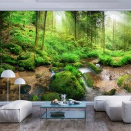 Papier peint  Humid Forest