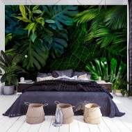 Papier peint  Dark Jungle
