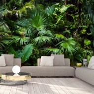 Papier peint  Sunny Jungle