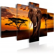 Tableau  The Savannah King