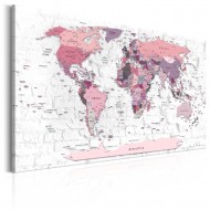 Tableau  Pink Frontiers