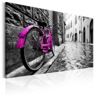 Tableau  Vintage Pink Bike