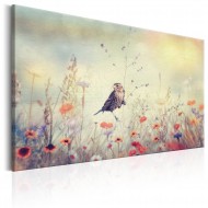 Tableau  Spring Sonata